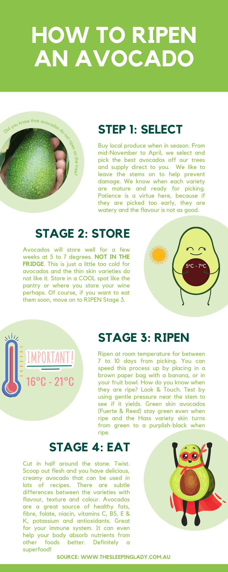 Avocado Infographic